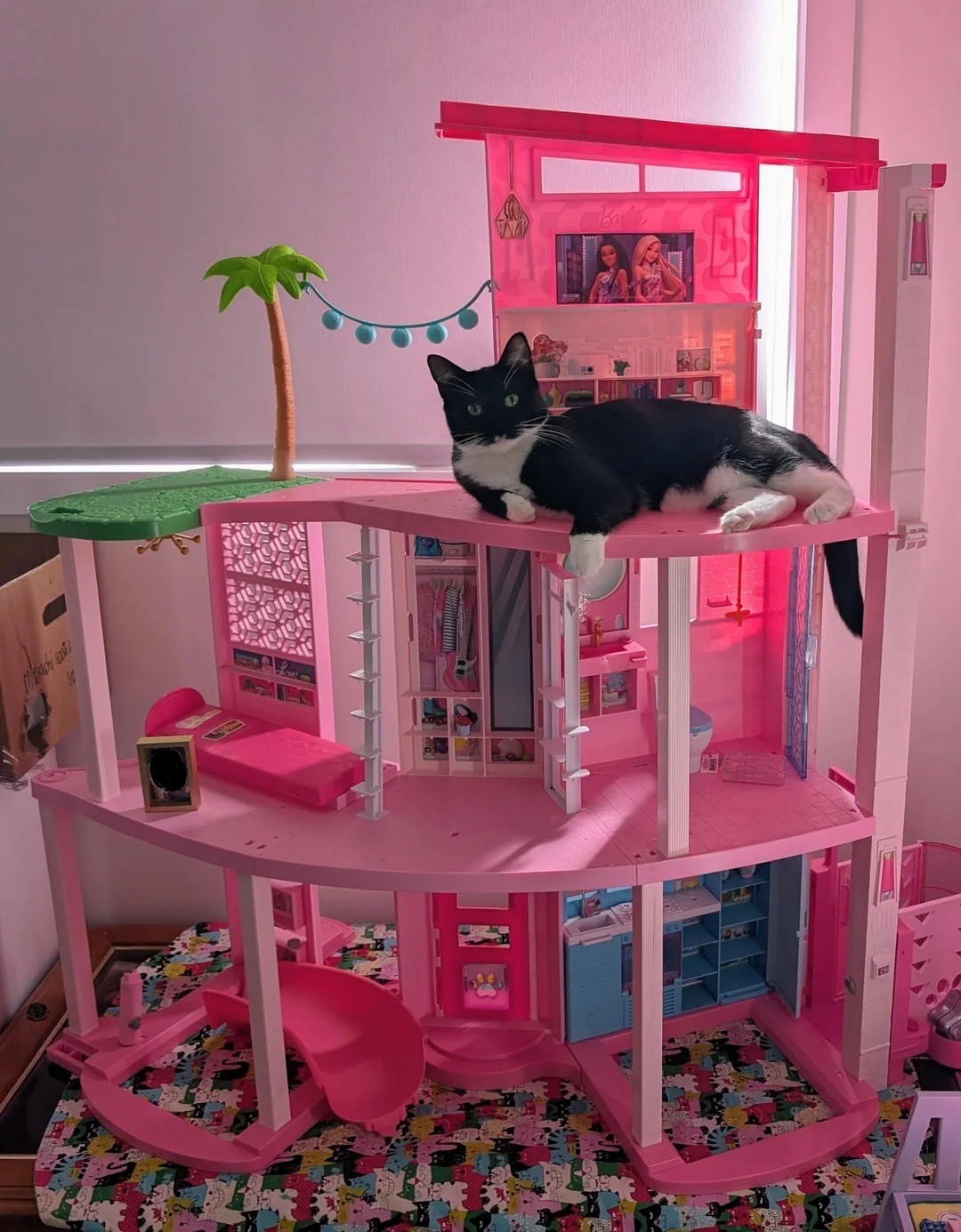 你的内心vs你的喜好 