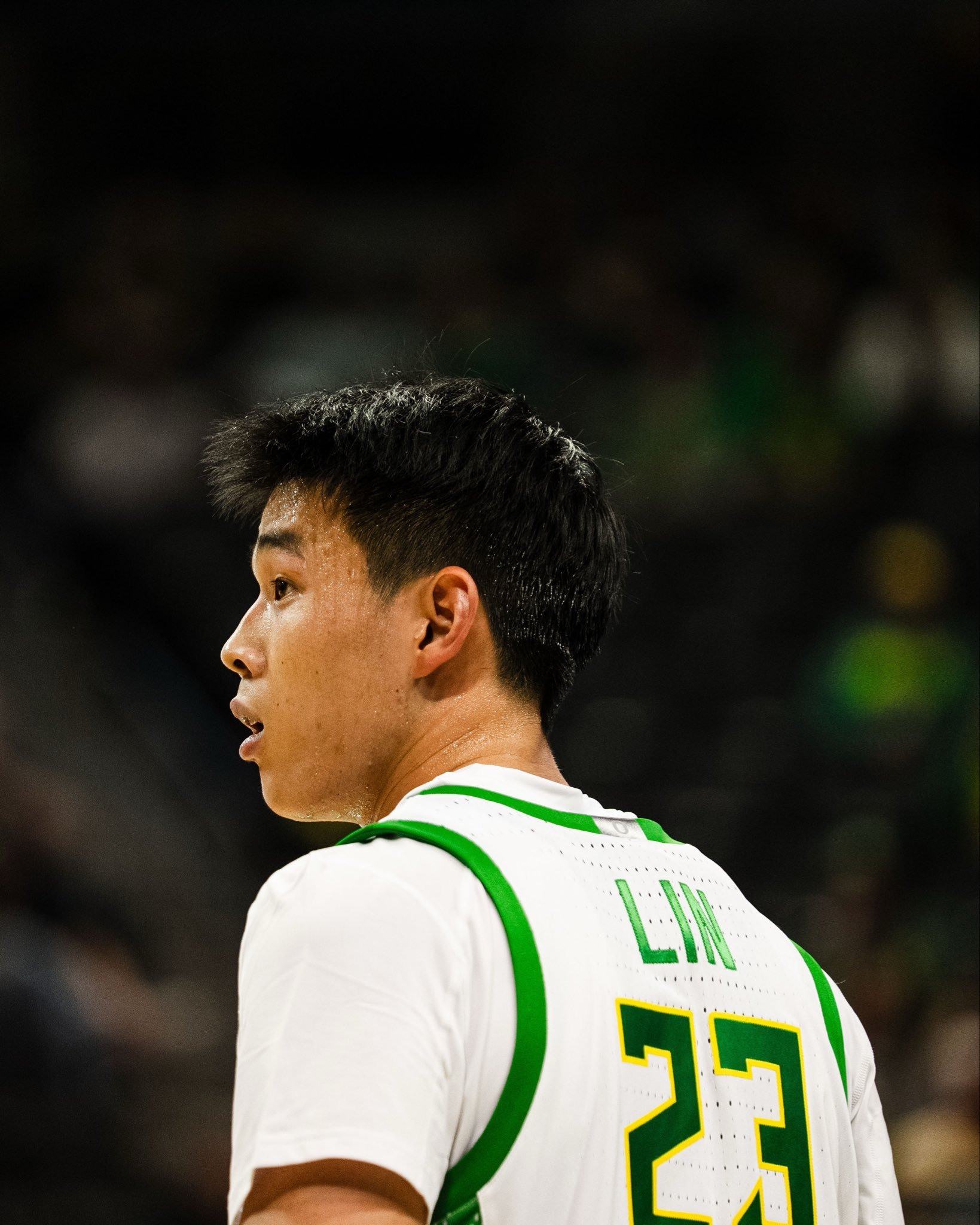 林葳的第一个ncaa 赛季，正式比赛登场30次（首发9次），场均17.6分钟，能