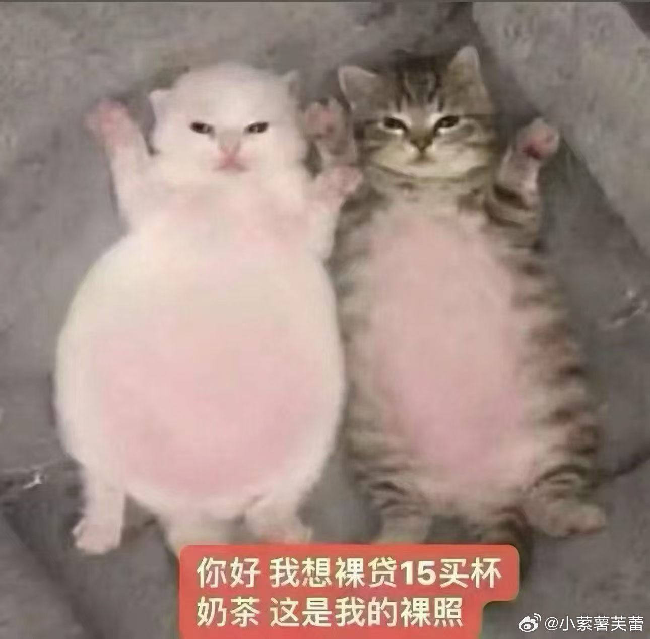 分享图片 