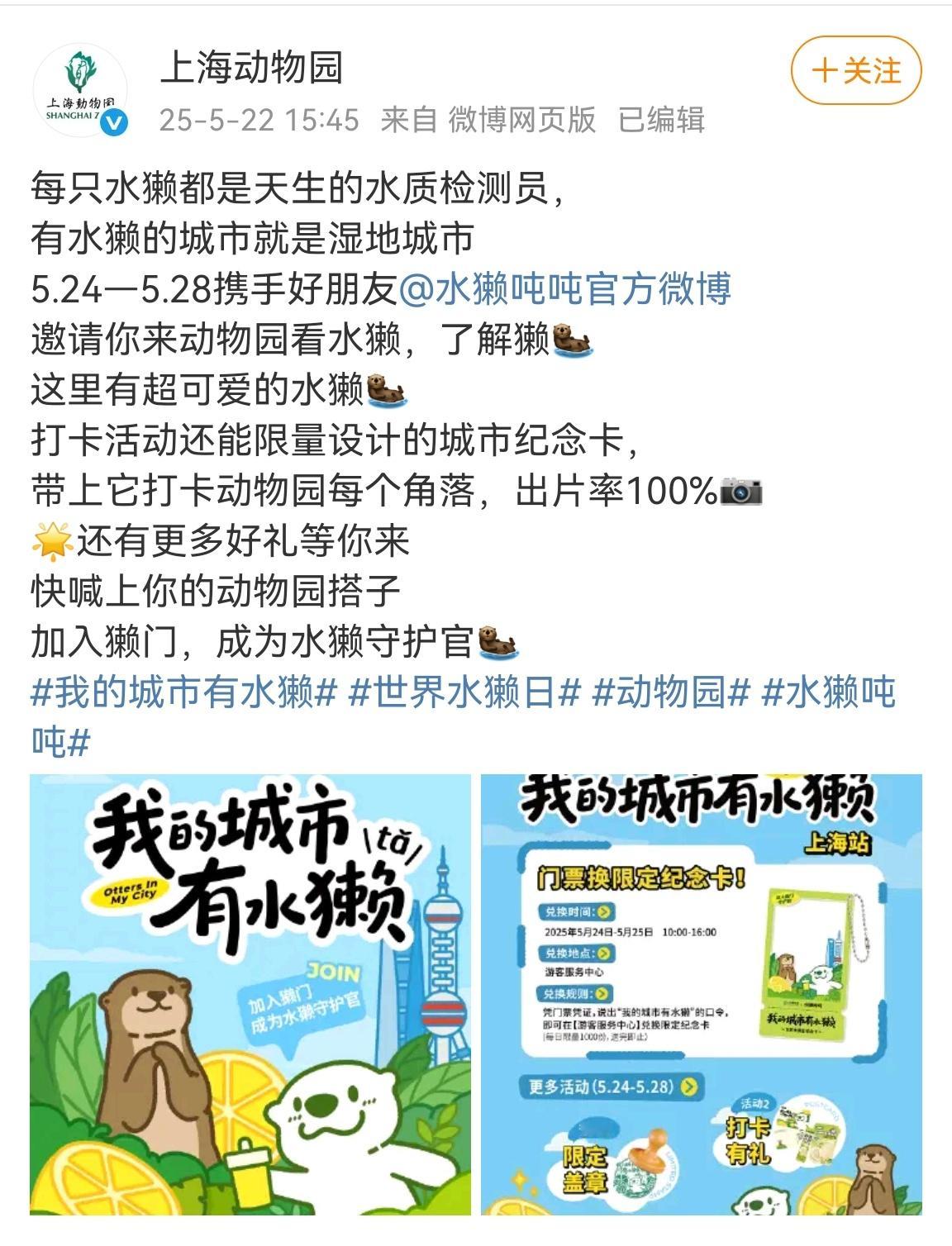 🔻好，把水獭上市！ ​​​