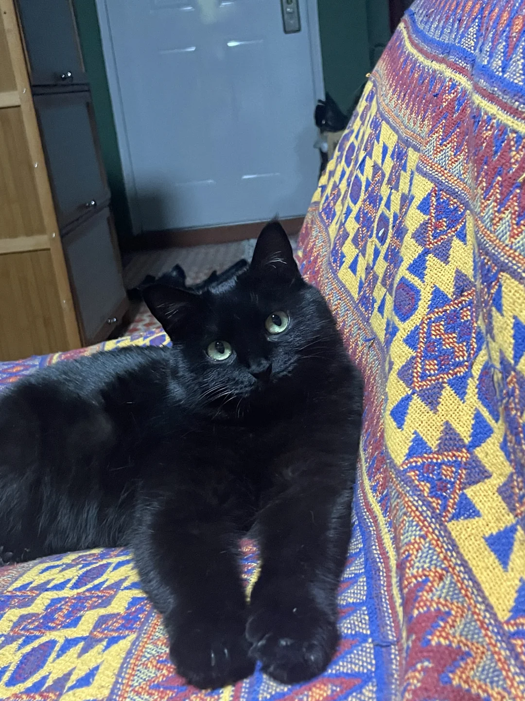 请问我真的不能上沙发和你坐在一起么？