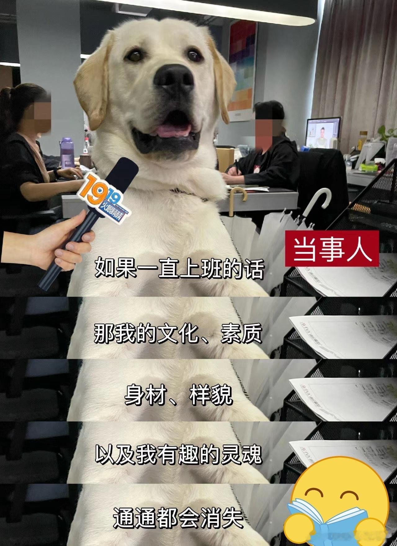 #是谁在周一逗我开心# 周一不丧，萌宠来帮周一上班的心情谁懂啊😫？就像 Leo