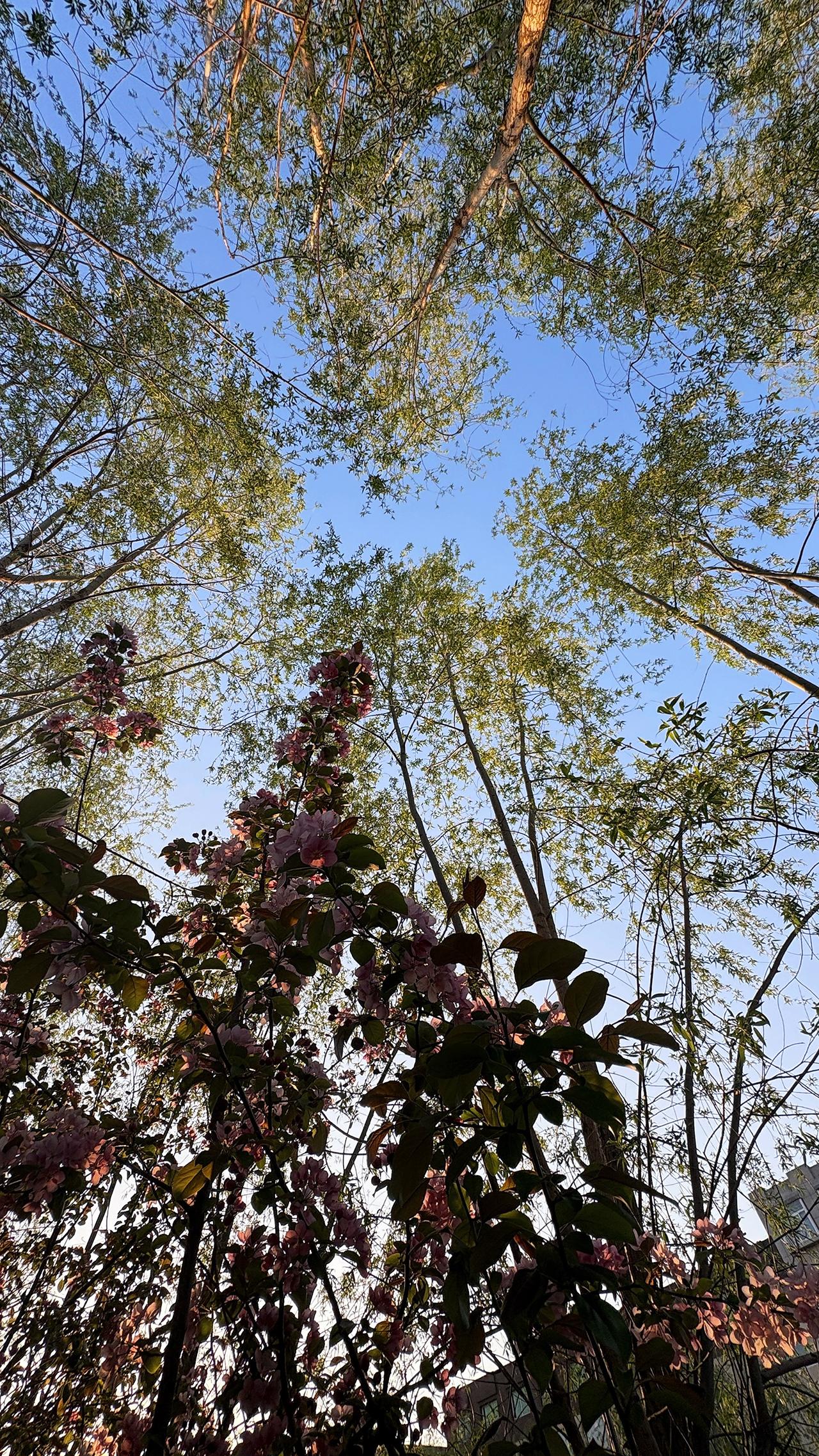 春