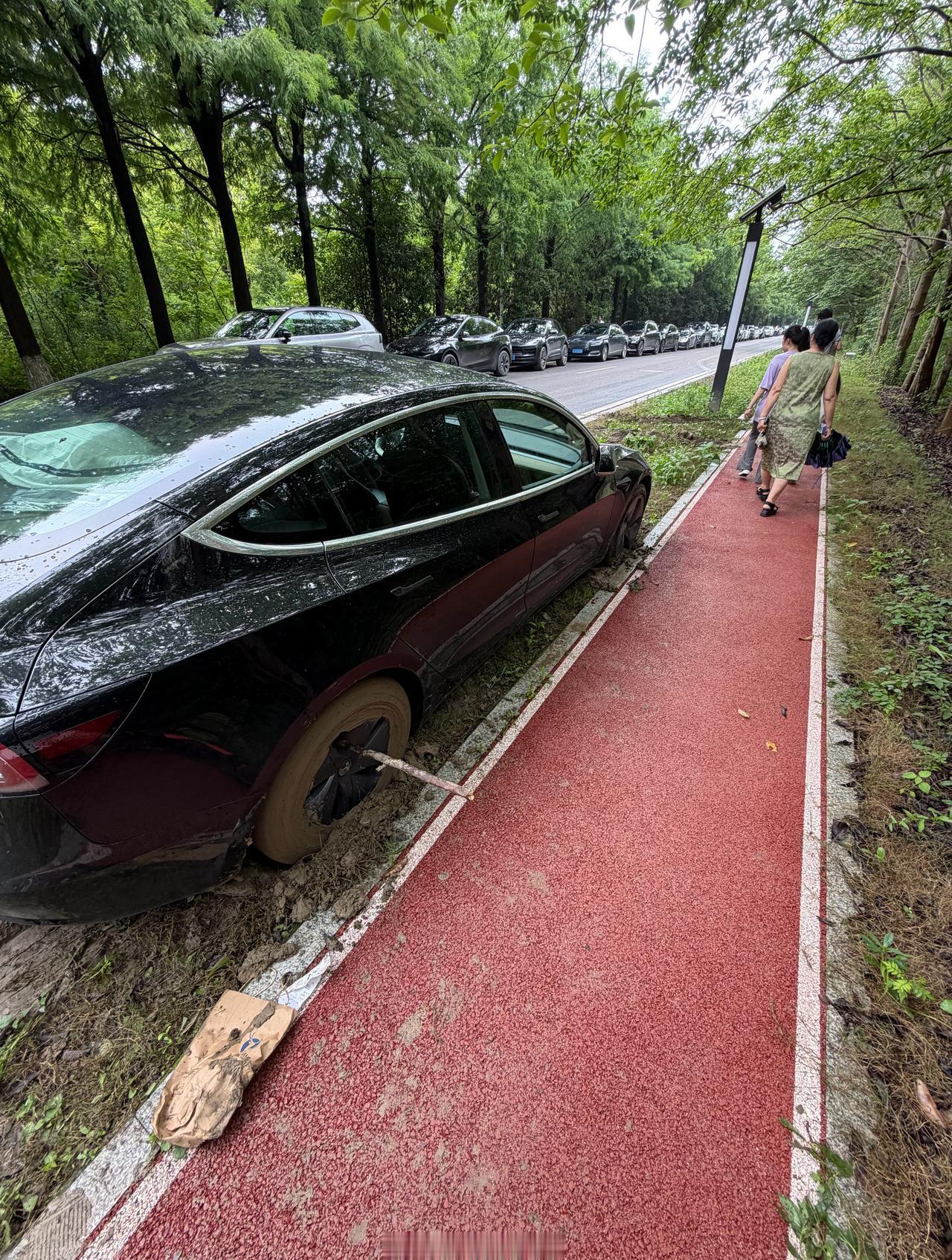 上海梅雨的最大受害者出现了，为什么这一路上受伤的都是它[笑哭][笑哭][笑哭][