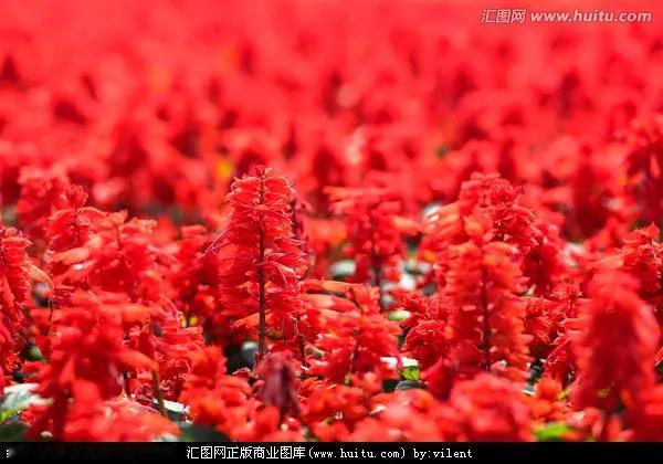午盘印象(8月4日)  AI硬件暴走 红利控盘

外围：美AI硬件大涨 反弹修复