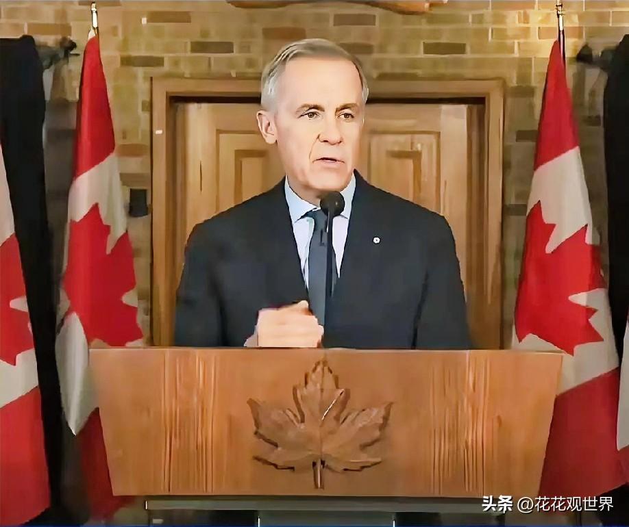3月1日凌晨的最新消息，速报，全都不容错过，第四条：加拿大总理表态支持美方相关行