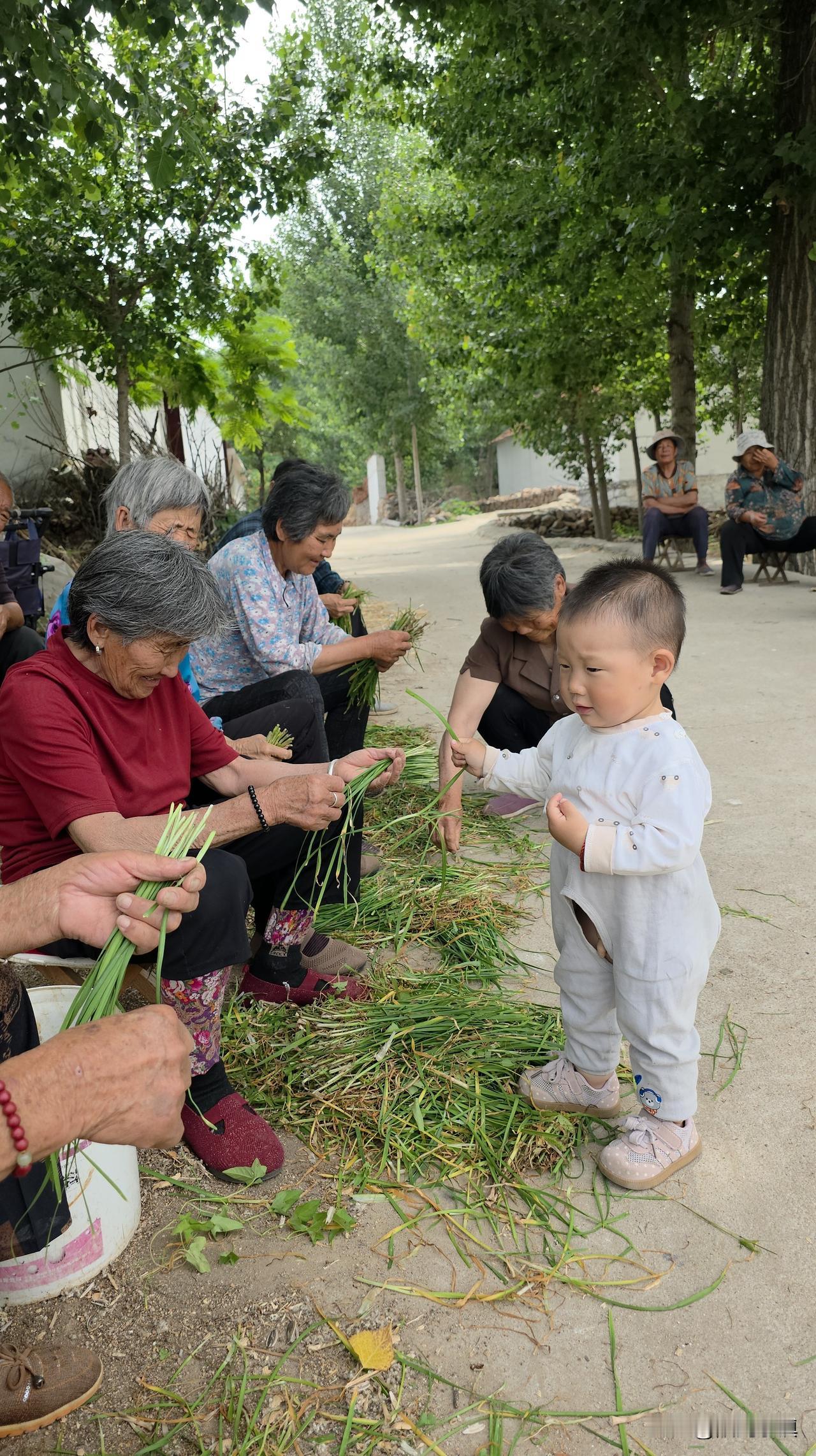 我们的那时候——60年代的乡村人共有的记忆——
 
每次看到外孙，11岁就步履匆