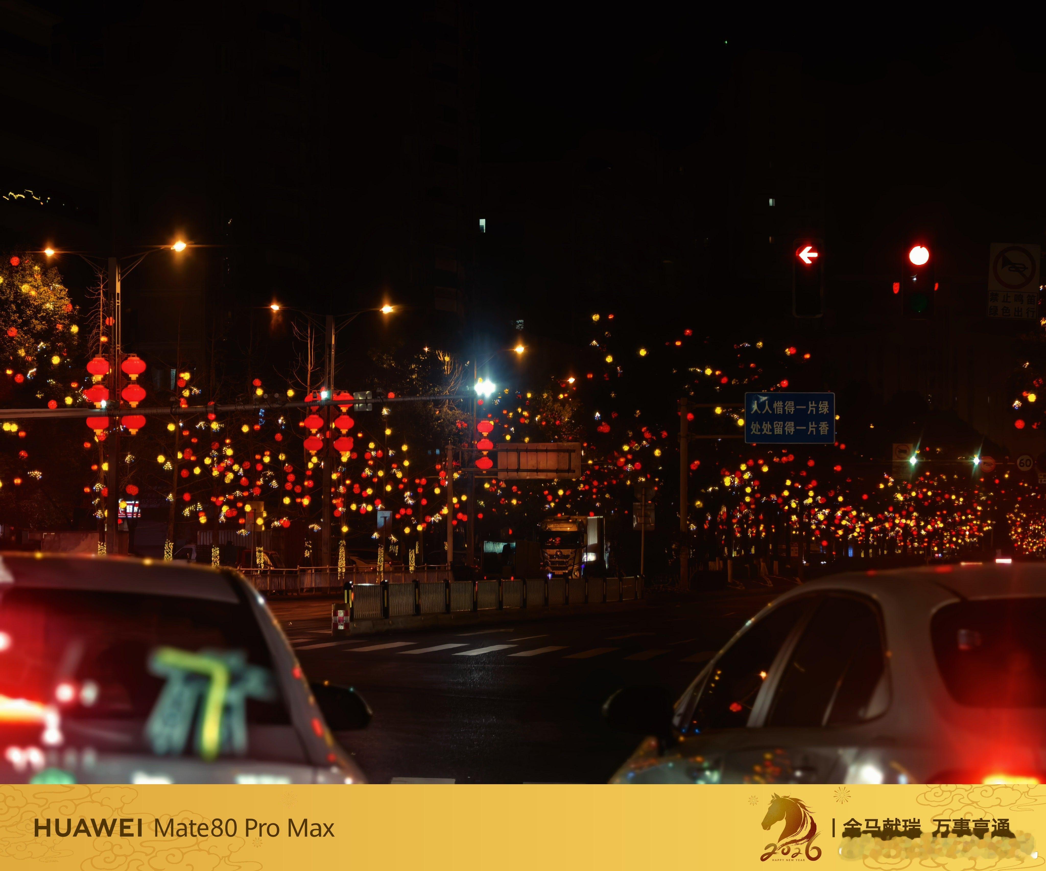 顺利赶在明天前到家了这个灯笼有点多挺有过年的味道你到家了吗？ 