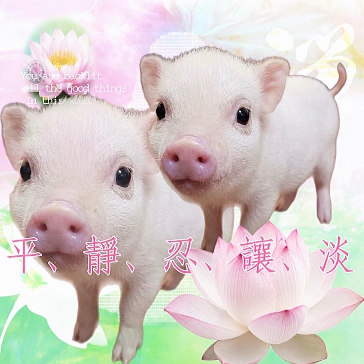 上来看看 ​​​