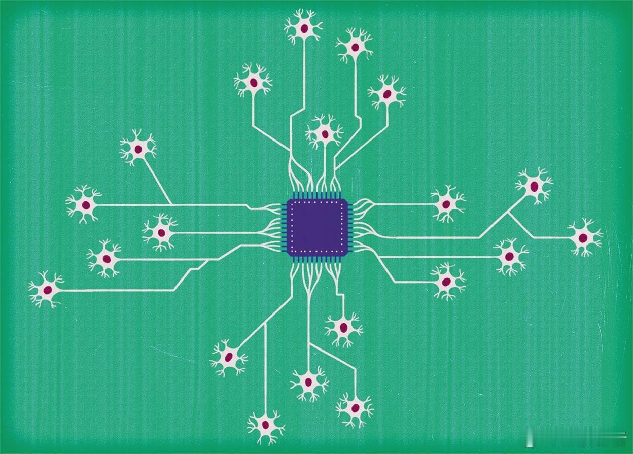 分享网易新闻《AI的尽头是生物学？科学家正用“活体大脑”打造超算》  来自 