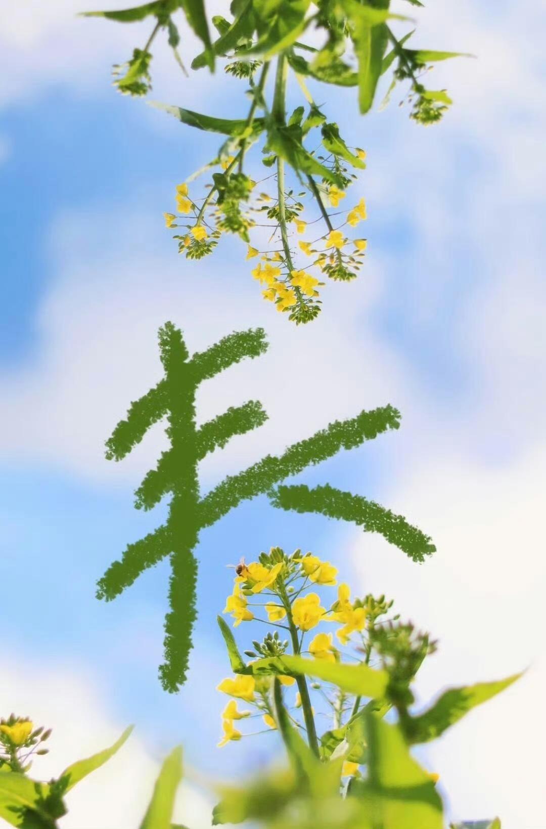 愿一切美好，
如春天一样如期而至