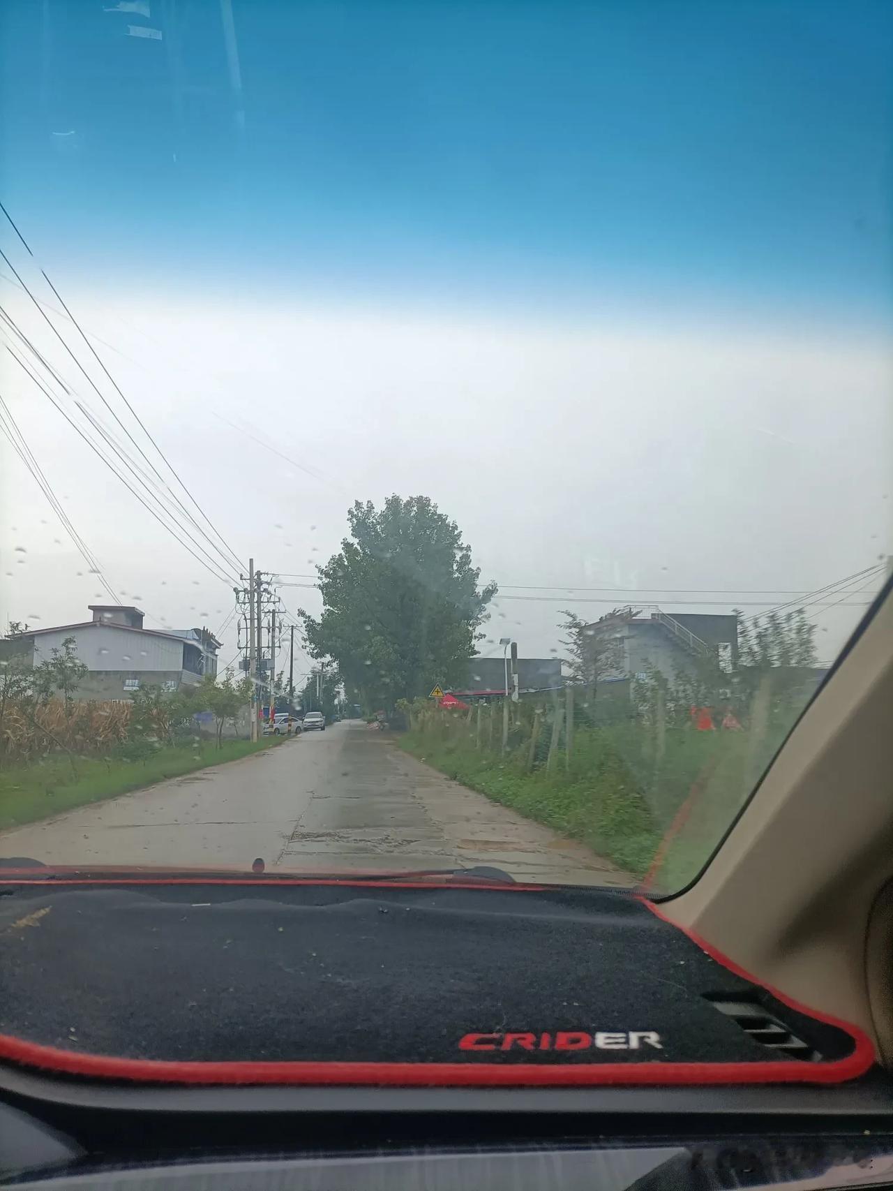 分享一张最近随手拍的照片