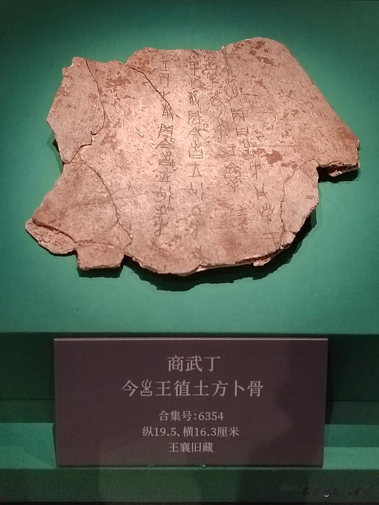 王入大邑商（六）
——天津博物馆藏武丁卜辞探亲展