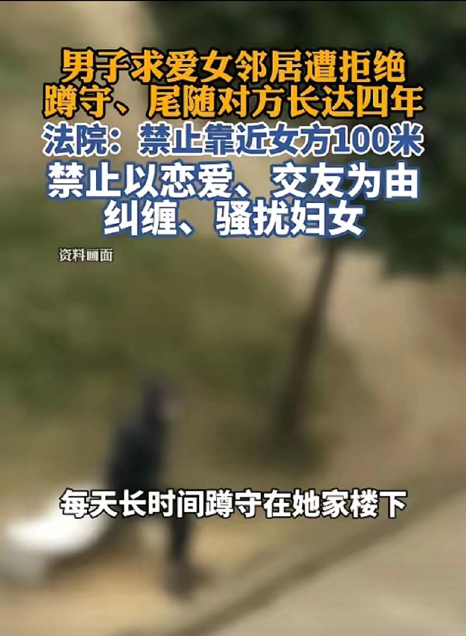 上海男子小刚爱慕上了同一幢楼的女子小雅，展开了4年的追求之路。最终，被法院裁定，