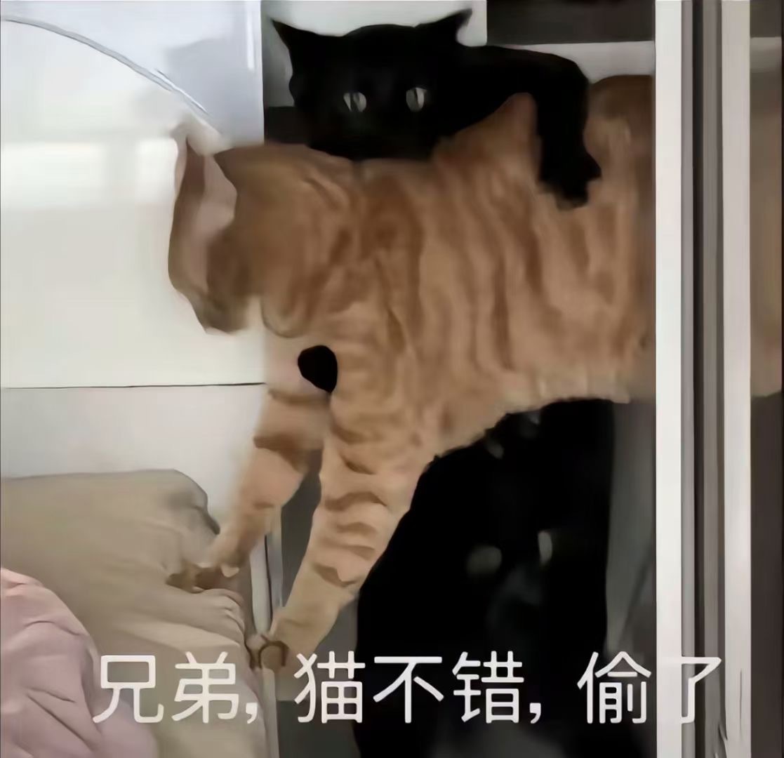 -#镜头下的笑容# ​​​