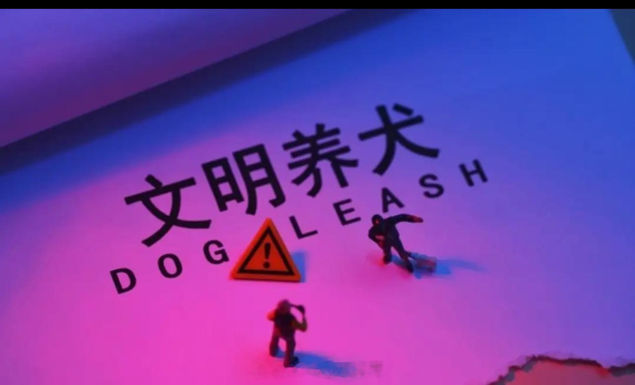 外围高开跳水，全线普跌，这个我倒是不感兴趣，我对量化的所作所为感到悲哀，气愤！！