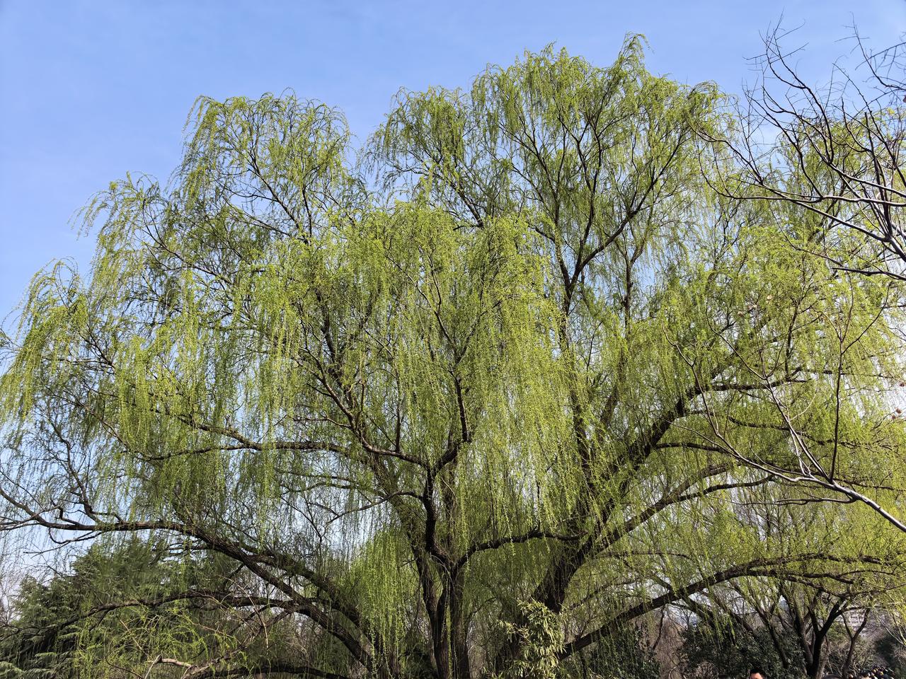 晒图笔记大赛学到老，活到老。不怕慢，就怕站。披荆斩棘，勇敢前进。