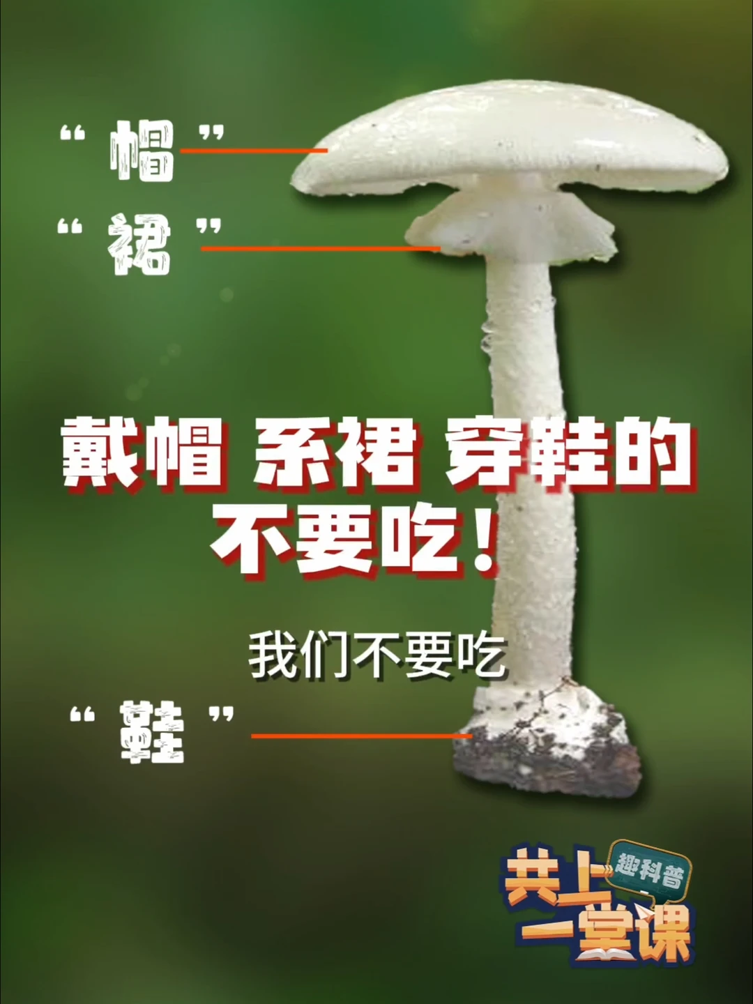 野生菌不要随便吃！