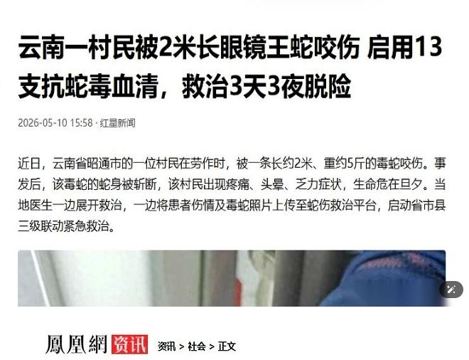 云南一个大哥，一锄头把条2米长的眼镜王蛇，砍成了两截。蛇身还在田里扭动，他甩了甩