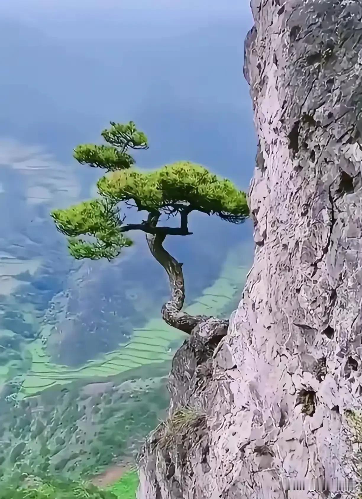 七律《余生自惜》

韶华转瞬作尘忆，
花甲临风意自熙。
半世悲欢皆历遍，
余生朝