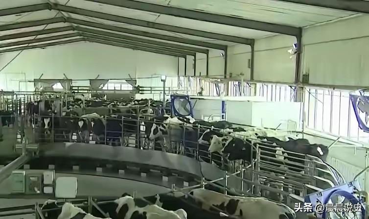 中国每年加工稻谷约两亿吨，产生米糠超过一千万吨。
过去，这些米糠几乎全喂了猪。但