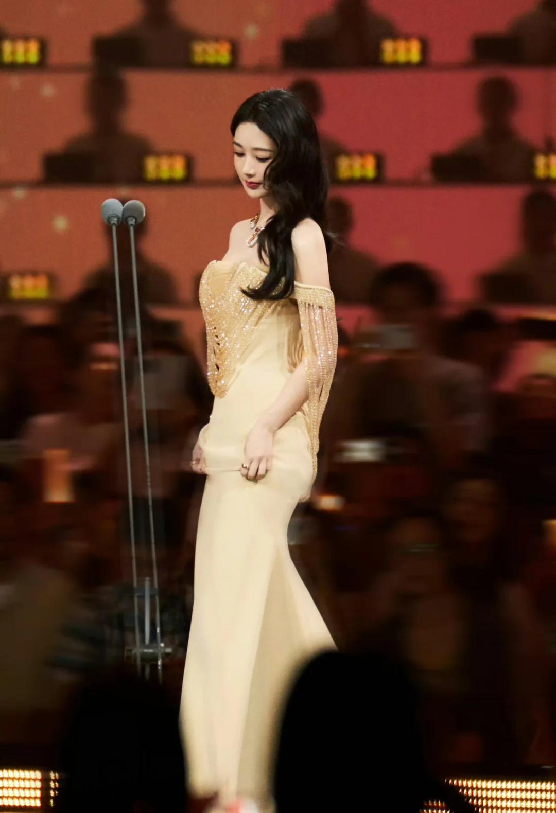 杨紫就这样走在我心里
杨紫 百花奖 女明星 演员 颁奖典礼 人群中的焦点