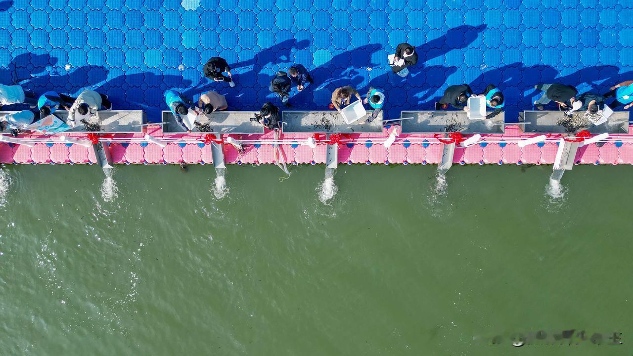 11月1日，2025潍坊·峡山湖生态捕捞宣传周在碧波万顷的峡山湖畔潍水左岸风情园