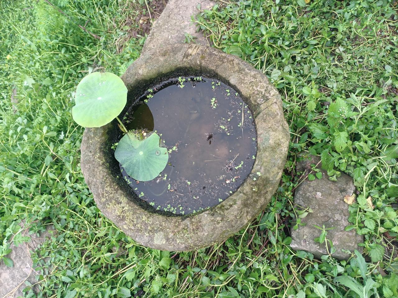 每天分享一句人生感悟如果你努力的想去做一件事情，那么你就放下一切！干就完了！