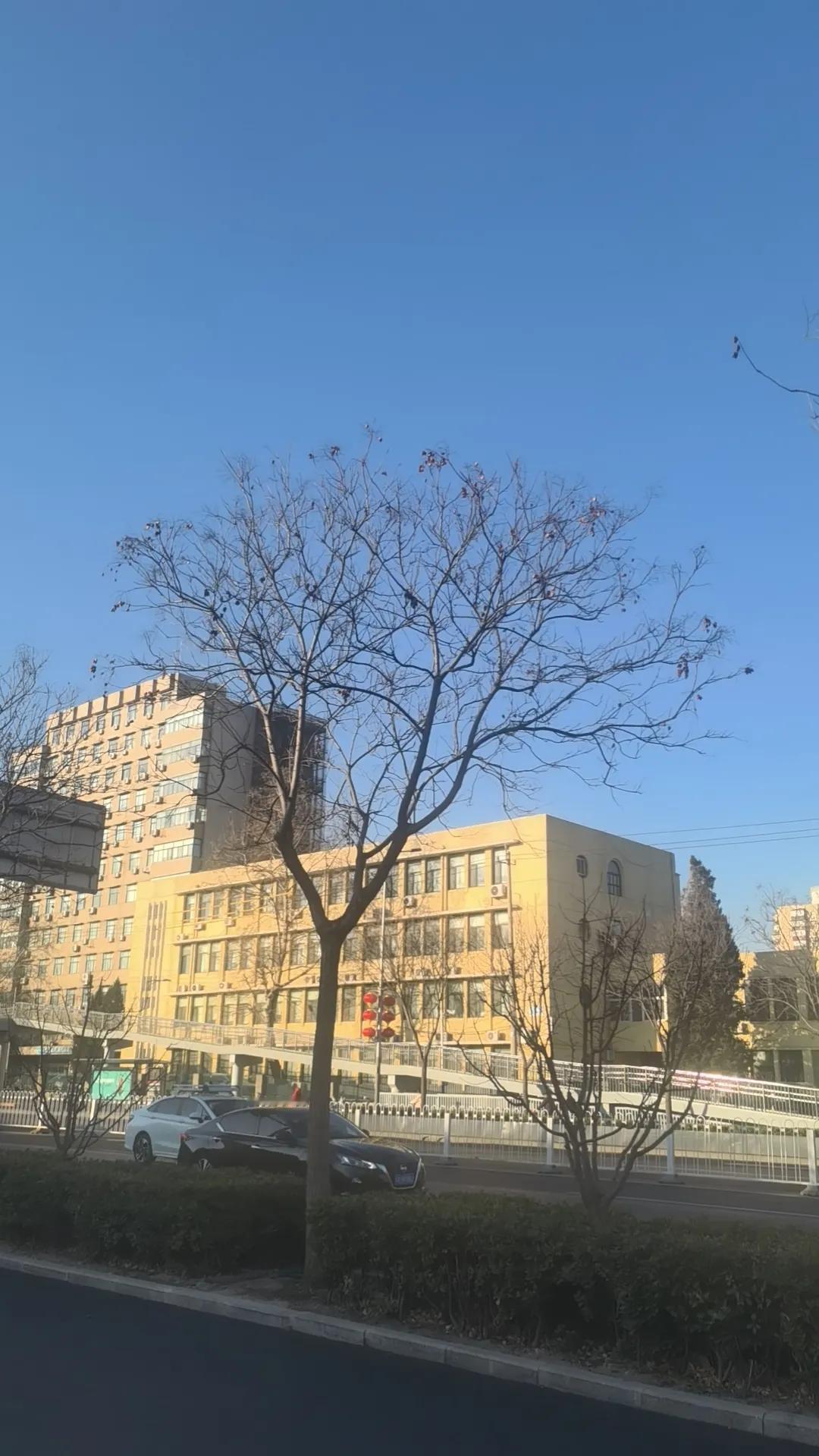 今年冬天还没有下过雪，真是失望。每年下雪的时候都会堆个雪人，今年似乎不可能了。