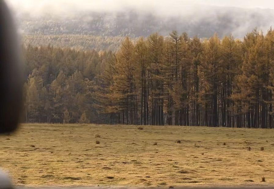 得之我幸 ，失之我命 ，有些事放下不是为了选择原谅自己 ，而是为了放过自己……