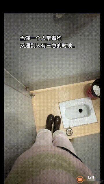 再也不这么干了，它恐高，我上厕所的时候，居然尿居我头上了，你大爷的[流泪][流泪