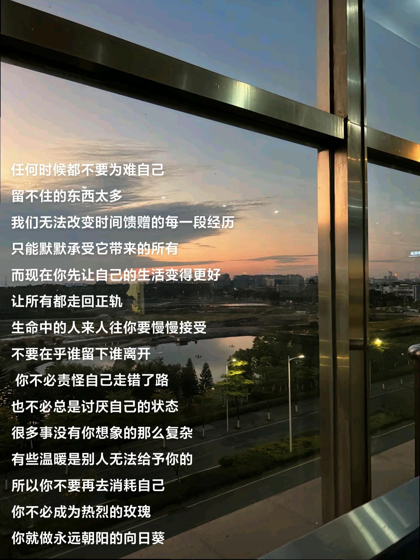 “允许自己枯萎 再重新绽放” ​​​