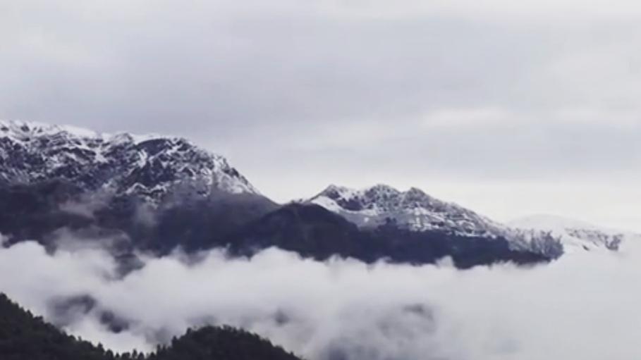 🔥爆火！越南游客坐动车疯抢轿子雪山雪景。河口口岸排起长队，3000+越南游客元