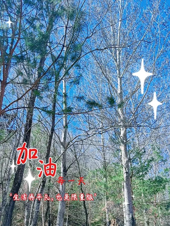 晒图笔记大赛 春意渐浓，这美好的季节有太多值得晒的。
先说说伊朗亚兹德市的早春，