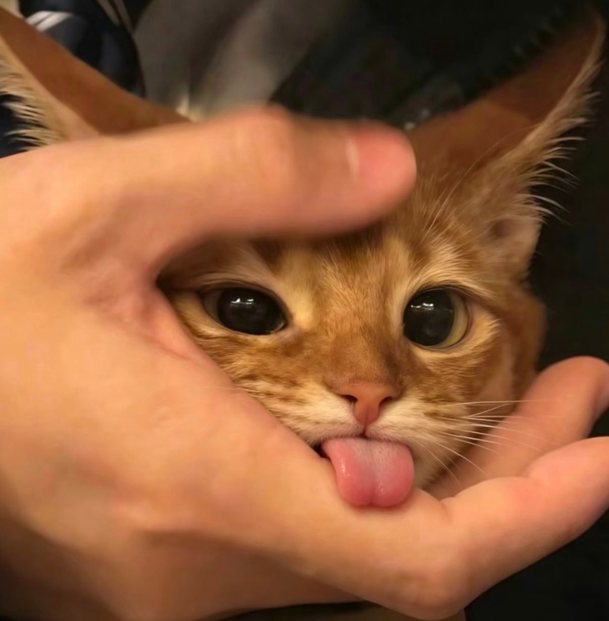 - 