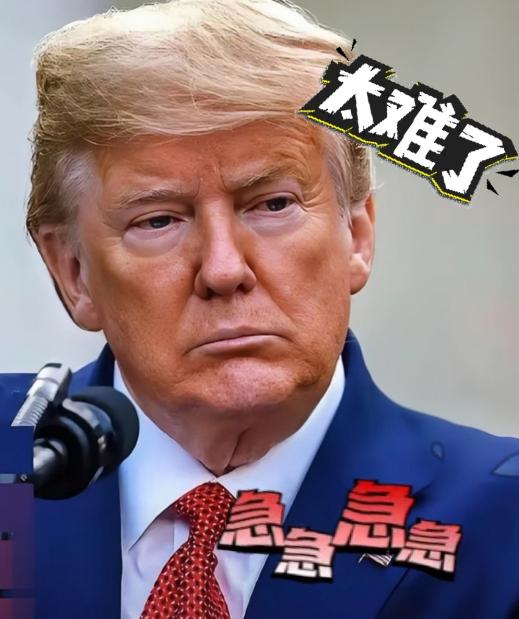 美国大豆生意没有国家接盘了！
 
现在美国农场主们正愁得睡不着觉追着特朗普骂，因