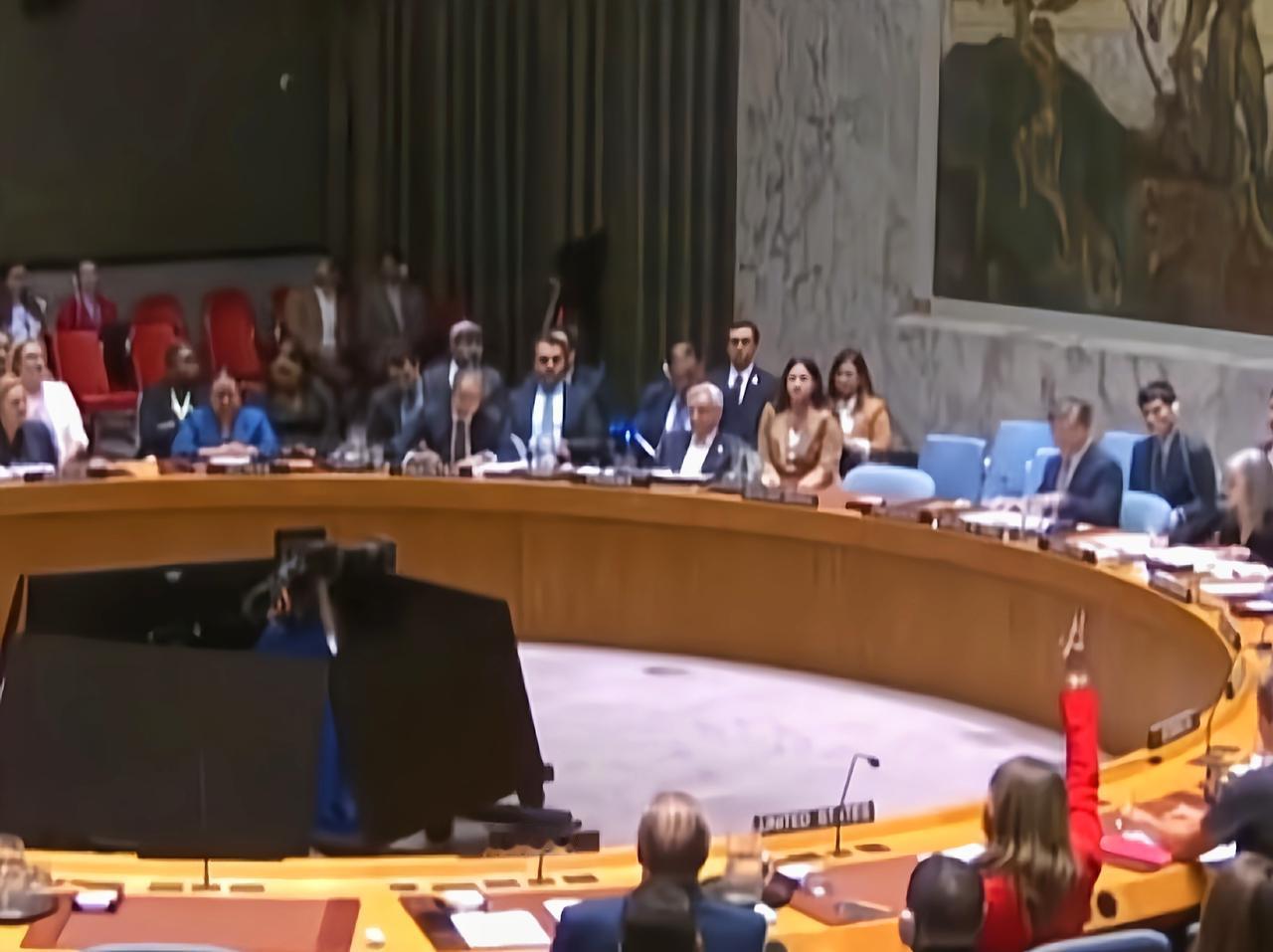 巴以冲突持续升级，加沙地带人道主义危机不断加剧，国际局势也因此发生了重大变化。第