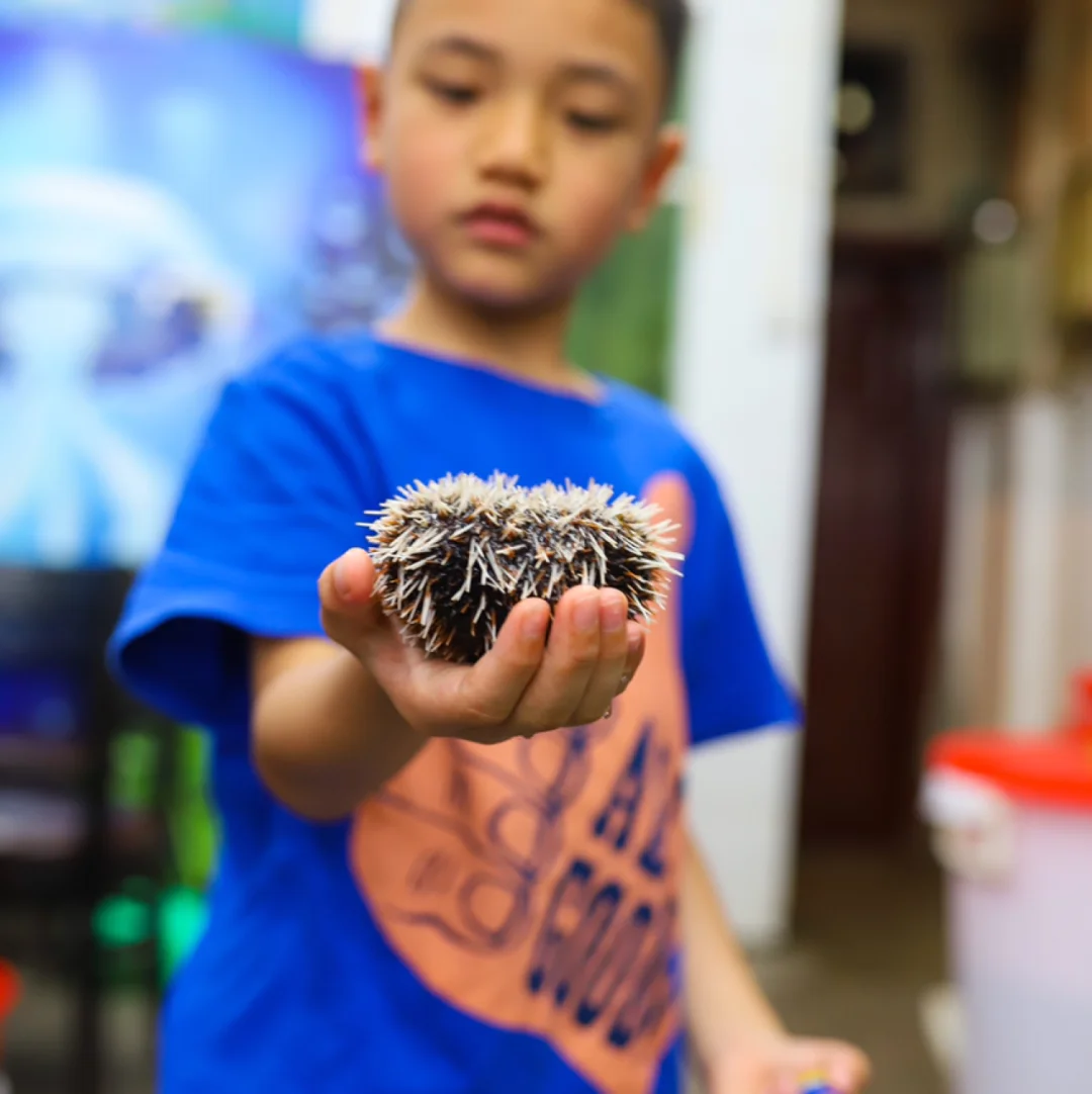 三亚海鲜美食攻略