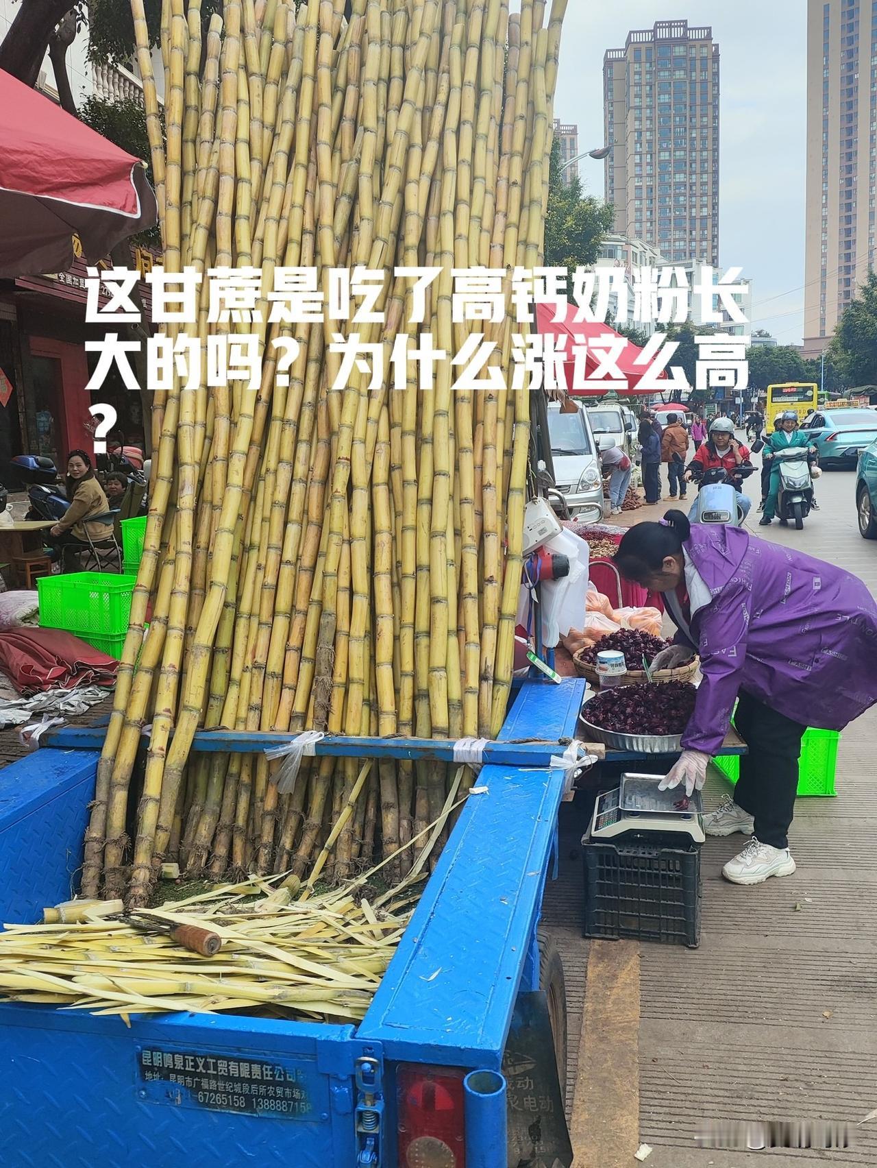 这只是拍了一小部分哦！