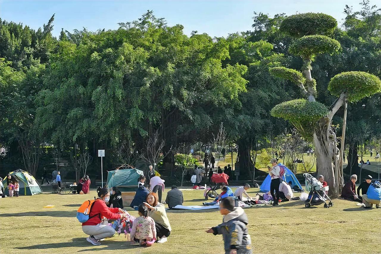 深圳气候称得上宜居？你怕是没在深圳长期生活过。深圳夏季从5月开启，一直持续到11