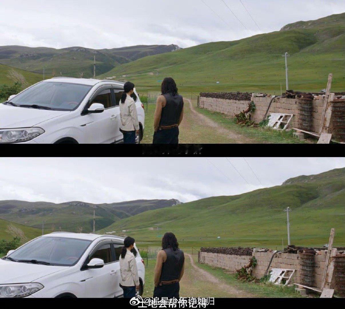 生命树巡山队的结局不该如此 看白菊独自站在曾经和队友们并肩战斗的地方，突然理解了