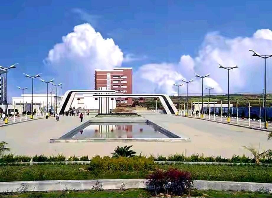 看到那句“考个双非就别上了”，我这心口啊，真像被石头堵了一下。
咱家孩子，熬了多