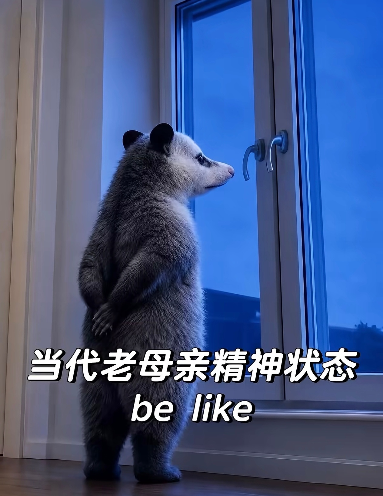 正在给明天期末考的娃捋错题……此刻精神状态be like……要不我帮她考吧