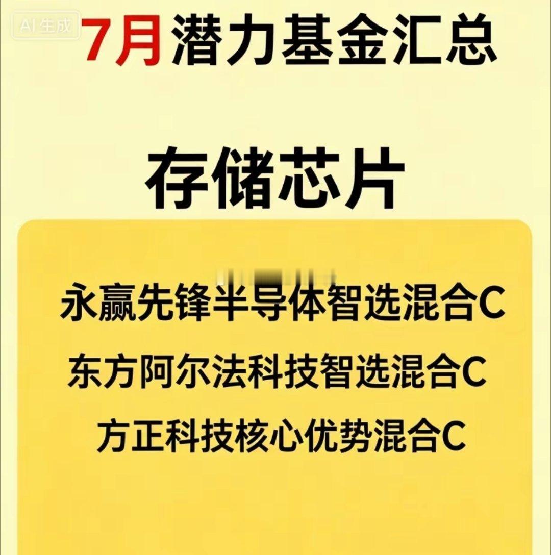 存储芯片！还是存储芯片！时间会证明你的选择！7月潜力基金曝光：存储芯片赛道，谁在