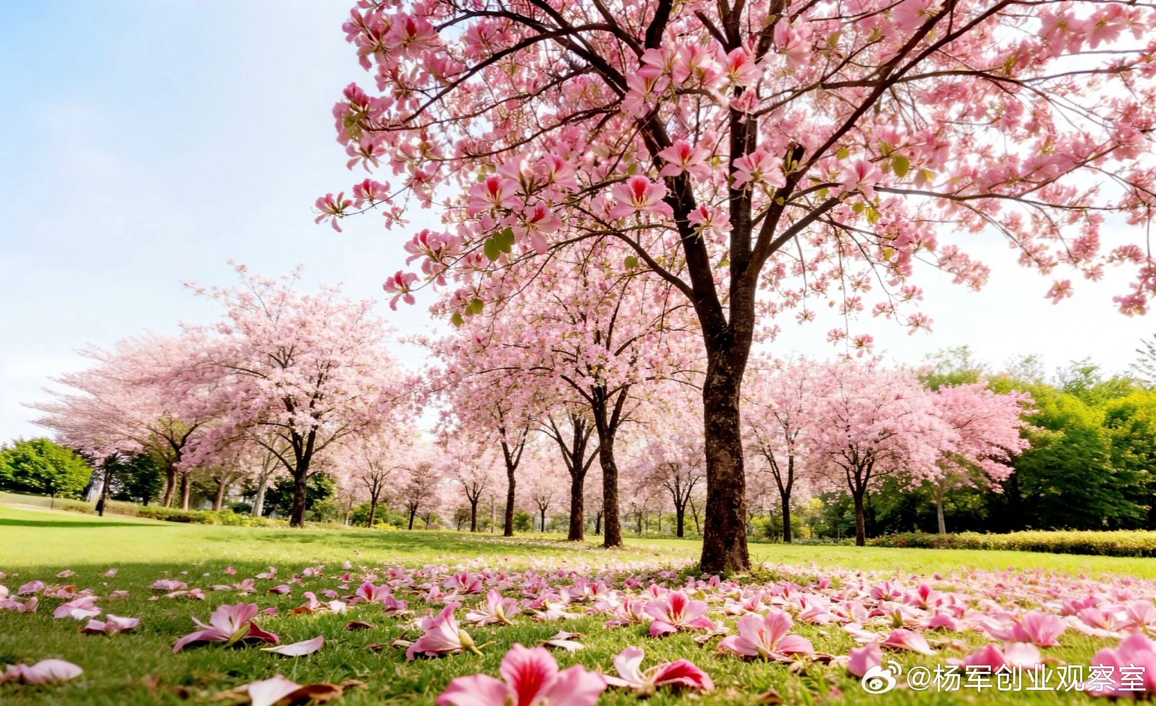 想给员工分股份，先得知道公司值多少钱。估值不仅是“定价”，更是博弈与平衡的艺术。