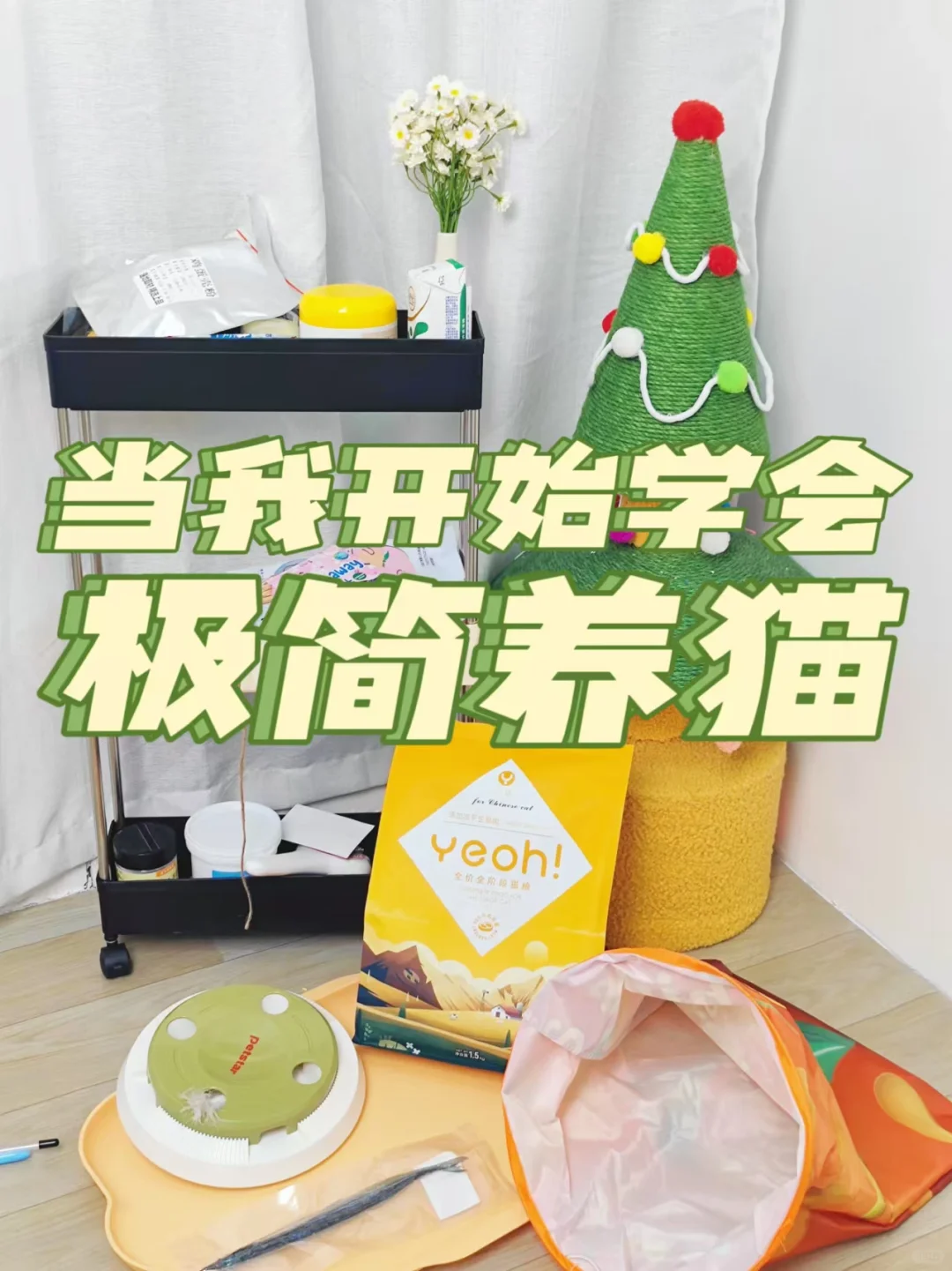 当我开始学会极简养猫后！