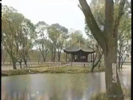 在邯郸市中心有一座公园叫做丛台公园，根据公开的资料，这座公园创建于民国二十八年，