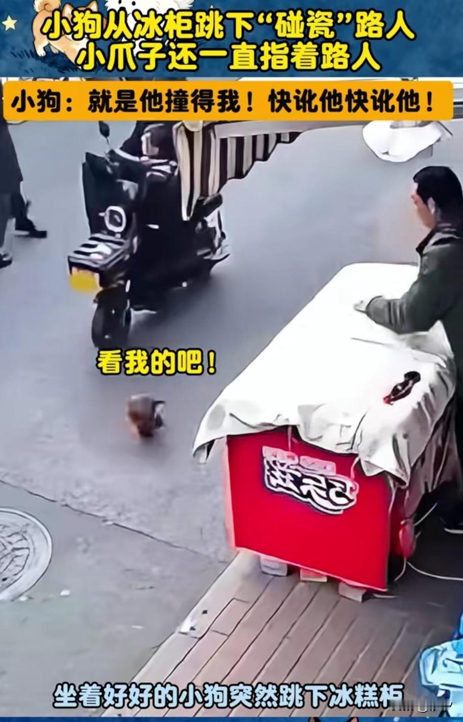 一辆电动车从冰柜面前走过，
冰柜上的小狗演技爆棚，
直接跳向了电动车，
电动车多
