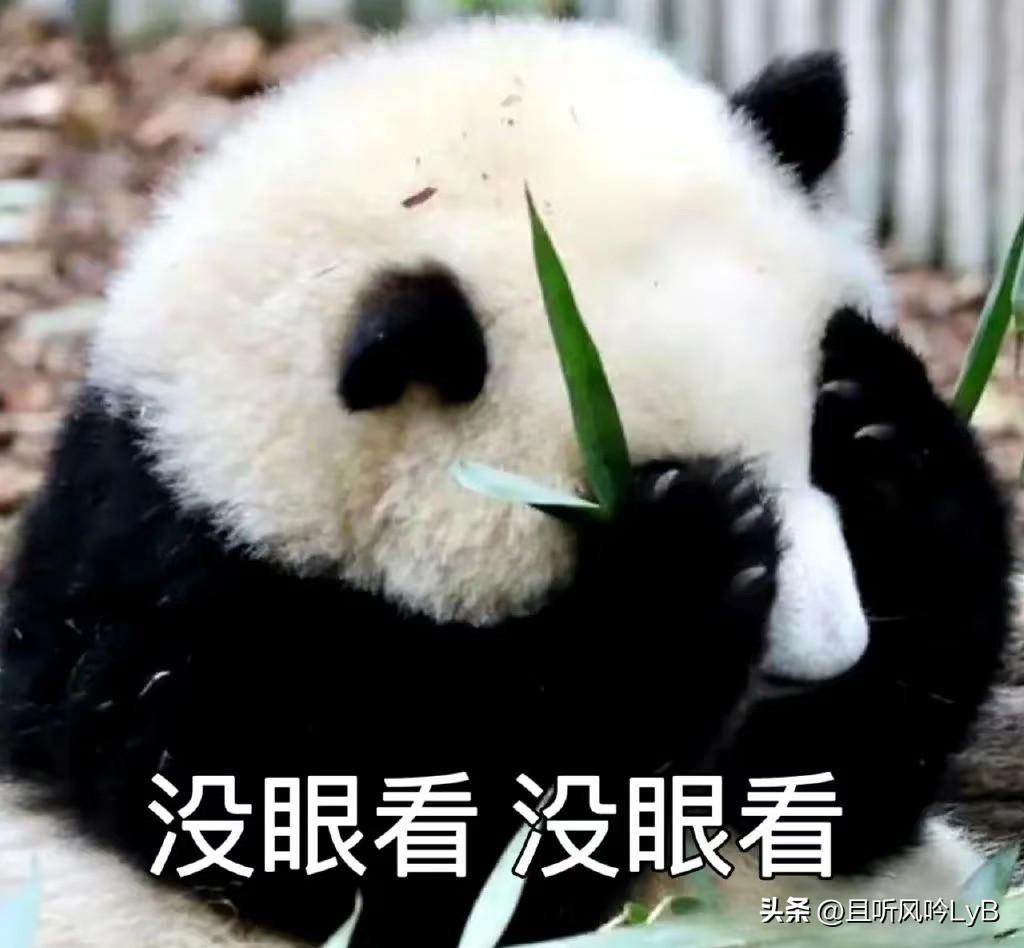 望眼欲穿终于等到这一天！这个真心话大冒险杀青了[偷笑]
我本想买挂鞭炮庆祝一下的