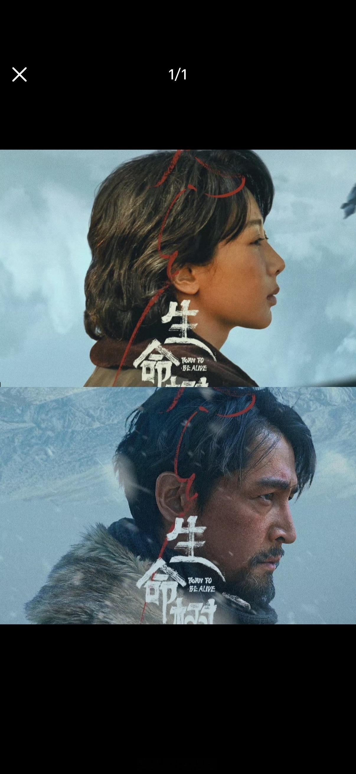 《生命树》次日酷云收视率1.9469，这个成绩咋样